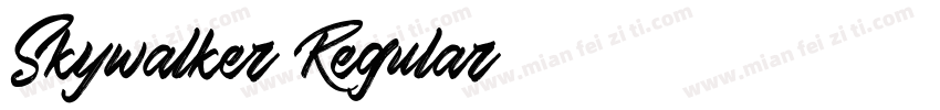 Skywalker Regular字体转换